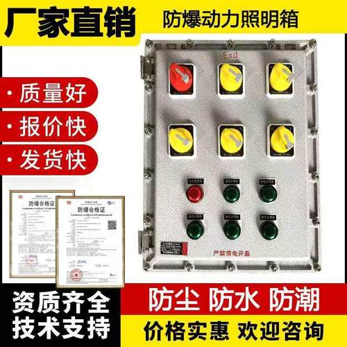防爆配电箱 动力照明检修插座箱 开关按钮仪表接线控制箱空箱电柜