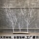 干树枝干枝干树枯树装 饰树 饰树摆件树杆仿真树枝假白色树枝道具装