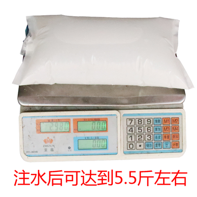 冰袋大号超大1800毫升2800ml反复使用保鲜鱼缸降温运输快递专用代