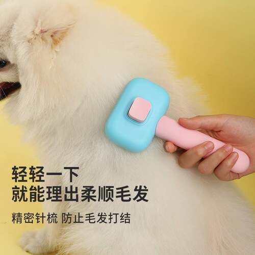 极速Wholesale of pet combs, catA massage combs, dog hair rem