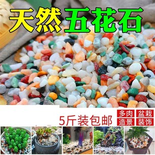 极速鱼缸底部砂石鱼缸专用沙石地暖回填鹅卵石水T缸造景石头彩色