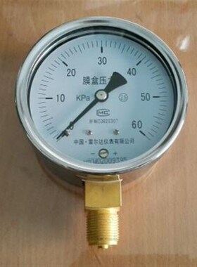 极速牌膜盒压力表 ye-100 60vkpa 微压表直径100mm 径向 m20x1.5