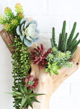 极速Various gArtificial Succulent Plants Lotus Landscape Dec