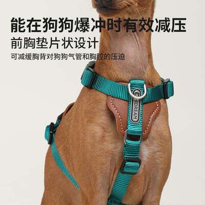极速Bubble Pet Dog Explosion-proof Multi-functional Sla.nt T