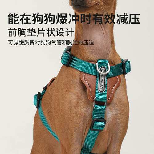 极速Bubble Pet Dog Explosion-proof Multi-functional Sla.nt T