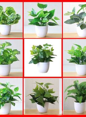 极速22cm Artifjicial Green Dill Persian Leaves Plants Bonsai