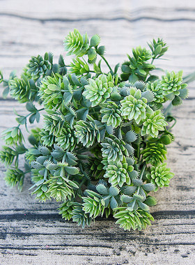 极速Fall decor Plasotic Succulent plants artificial leaves D