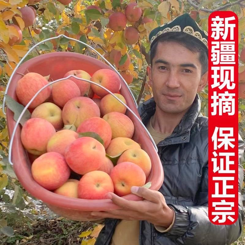 正宗新疆阿克苏冰糖心苹果新鲜水果孕妇儿童红富士丑苹果当季A