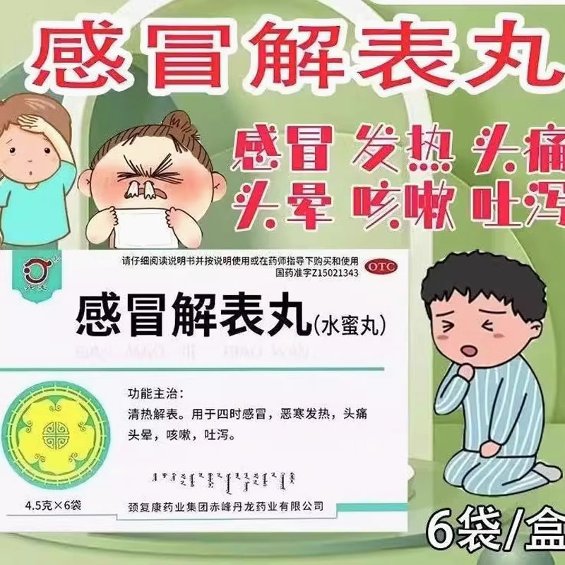 丹龙 感冒解表丸 4.5g*6袋/盒呕吐泄泻咳嗽四时感冒清热解表