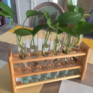 极速木试管架10 25 50 100ml 6孔12孔具塞玻W璃木试比色管架