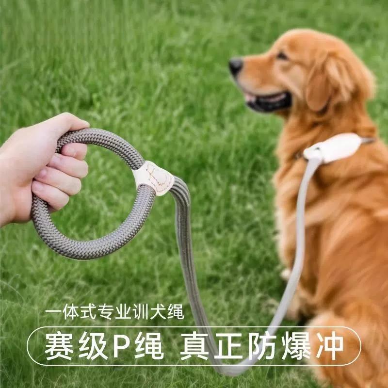 狗狗牵引绳p绳遛狗牵引绳p链牵狗绳中大型犬防爆冲狗链防咬栓狗绳