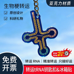 Tigergene生物梗转运钥匙扣tRNA亚克力冰箱贴PVC软胶挂件科研礼物