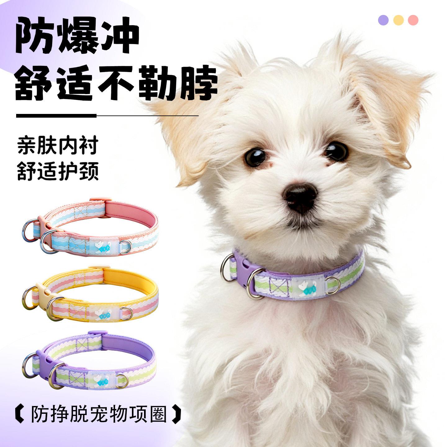 宠物狗狗项圈刻字防丢狗牌脖圈金毛中大型犬柴犬小型犬颈圈牵引绳