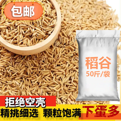 带壳稻谷饲料10斤喂鸡鸭鹅鸽子鸟食圈养禽类新原粮宠物50斤包邮