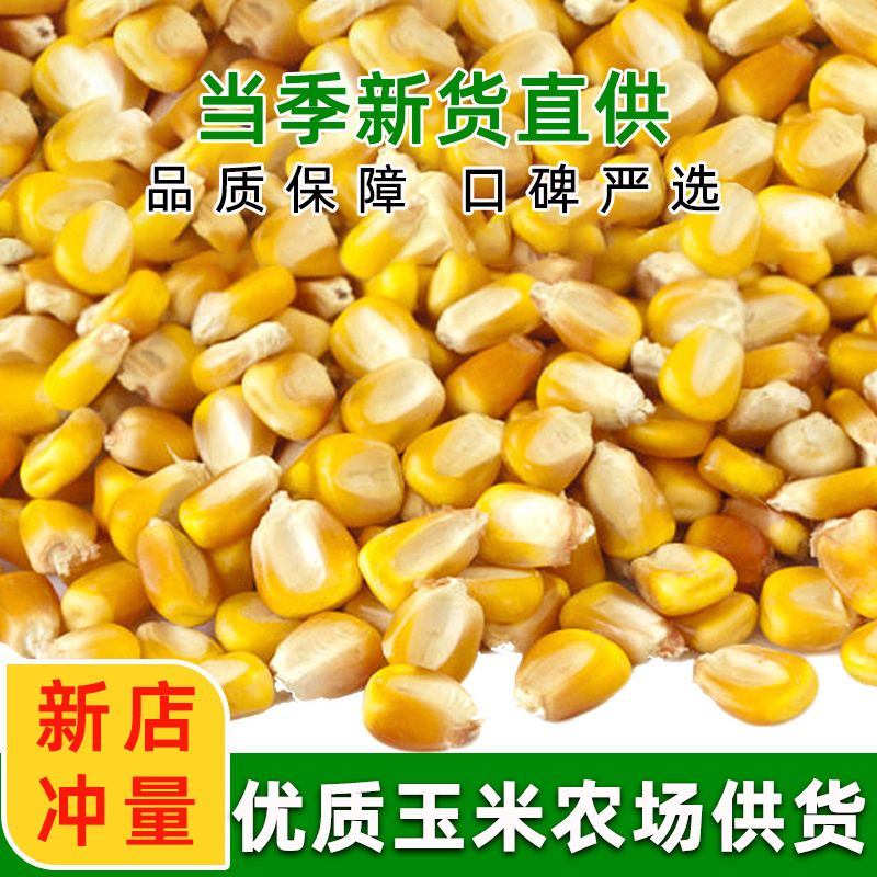 25年玉米粒鸽子饲料信观赏鸽粮鸡鸭鹅鱼饵羊鸟食50斤包邮钓鱼酿酒