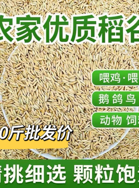 新稻子2斤100斤新稻谷带壳谷子喂鸡稻谷鸭鹅鸽鸟仓鼠宠物饲料批发