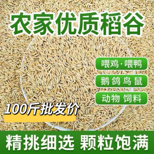 新稻子2斤100斤新稻谷带壳谷子喂鸡稻谷鸭鹅鸽鸟仓鼠宠物饲料批发