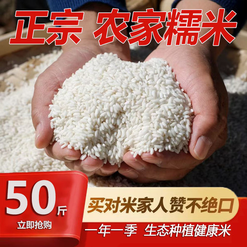 2025年农家新米粘米酒酿米圆糯米
