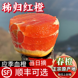 顺丰中华红橙秭归脐橙10斤整箱孕妇手剥水果应季甜橙非伦晚大橙子