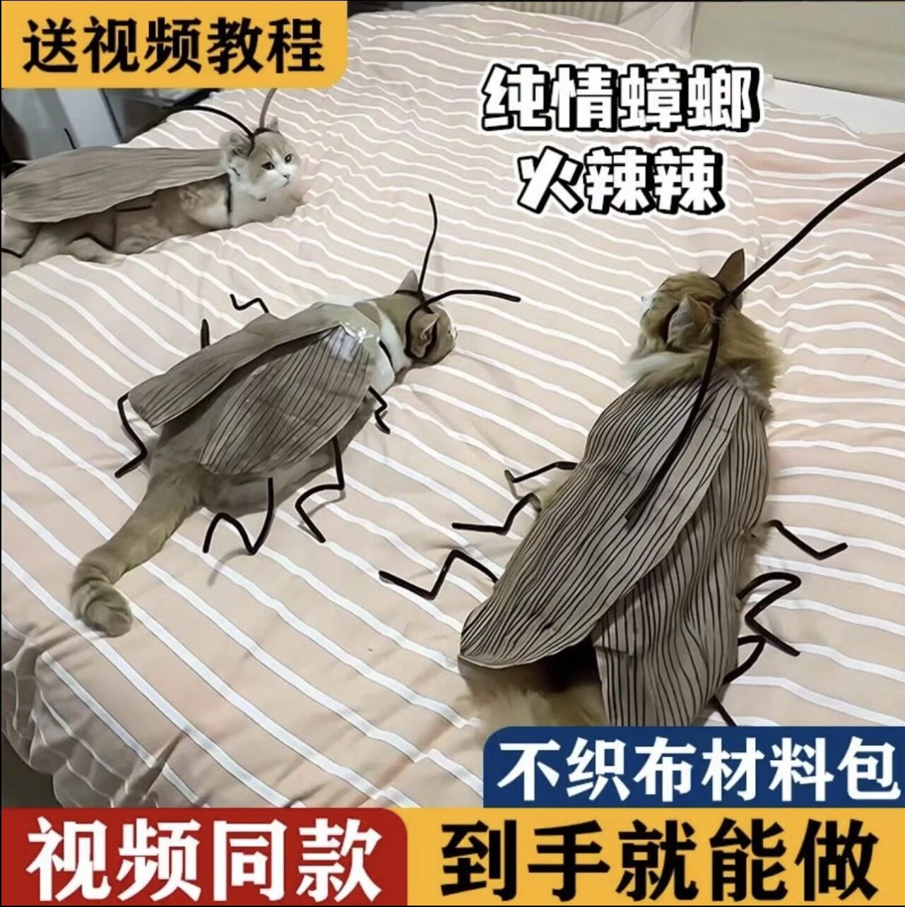 纯情蟑螂火辣辣猫咪衣服不织布扭扭棒手工DIY材料包创意搞怪道具