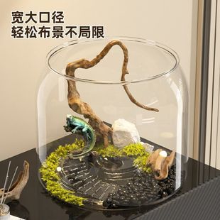家用鱼缸办公室小型金鱼缸桌面生态造景水族箱爬梯高透观赏乌龟缸