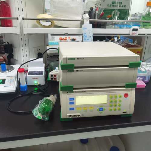 议价伯乐Bio-RAD ne Puer Xcell电穿孔