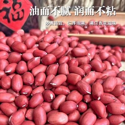 精品红皮花生米生小粒新货月子五红汤食材煲汤打豆浆专用花生仁