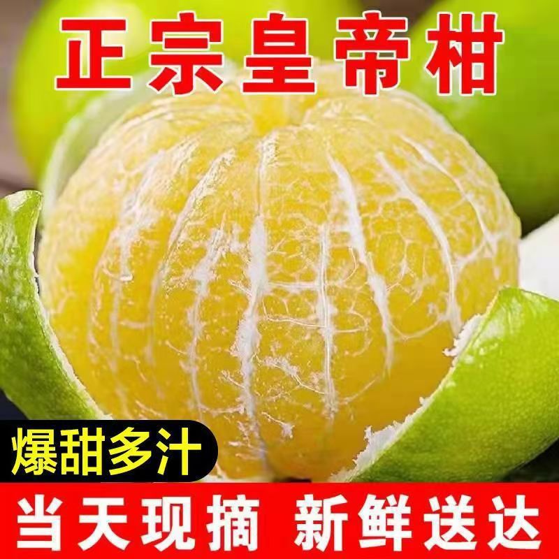 老树大果 正宗皇帝柑9斤新鲜水果当季整箱蜜桔柑橘桔子橘子沃YZG