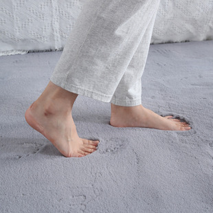 ins风客厅茶几地毯家用卧室床边毯加厚满铺毯定制直播间飘窗拍照