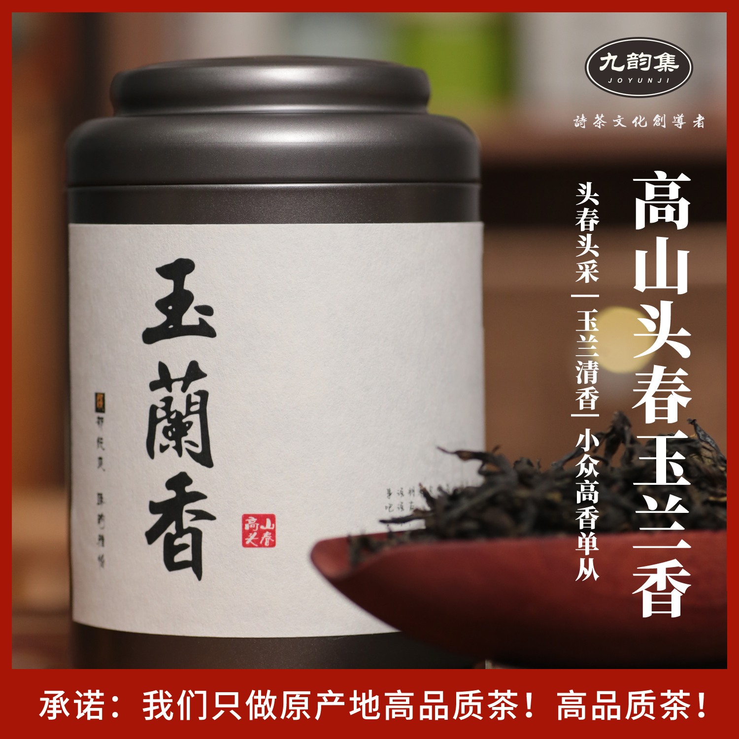 头春头采,高山特级,清香型