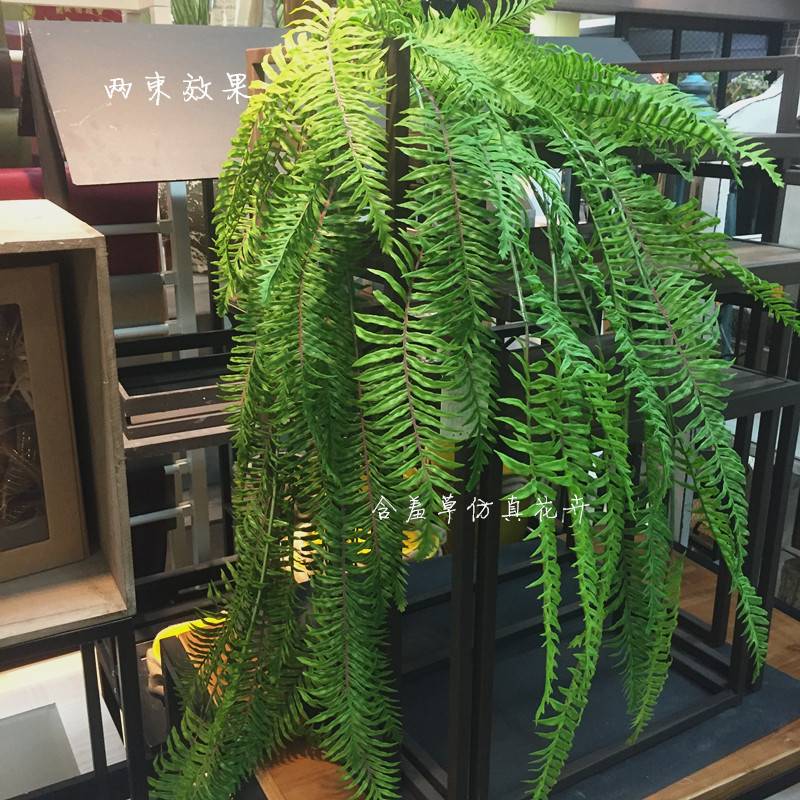 仿真蕨类植物高端波斯叶垂挂绿植 排草 植物墙婚庆壁挂大把束蕨草