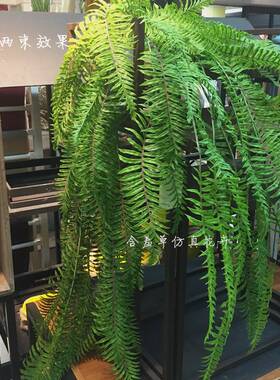 仿真蕨类植物高端波斯叶垂挂绿植 排草 植物墙婚庆壁挂大把束蕨草