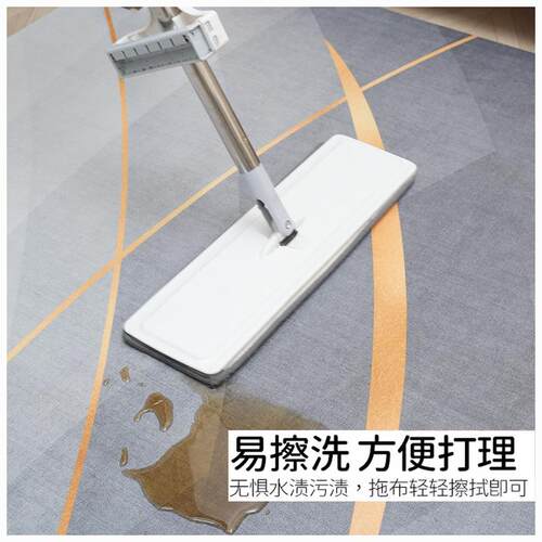 地垫入户门垫进门门免口玄关垫耐脏ltao1019可脚擦洗pvc子垫家用