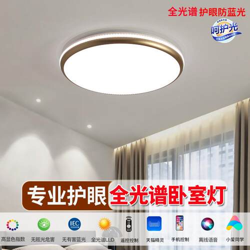 农村自建房屋檐院台阳灯门口庭大入户灯楼梯灯户外走廊过BVS道吸