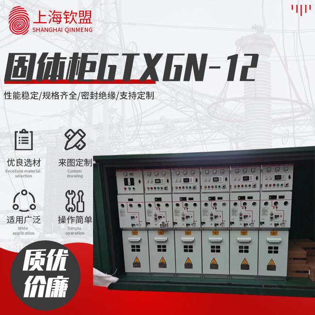 绝缘固体箱G环2TX-GN-1成套柜高压固体全绝缘网开关柜