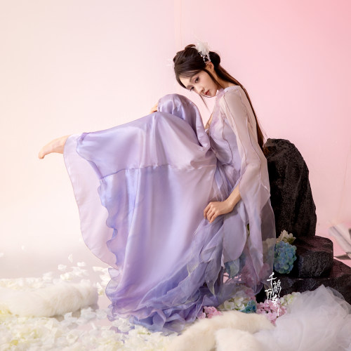 千鹤万蝶|青岑归雾三件套仙气飘逸紫色渐变色纱裙女古典舞蹈服