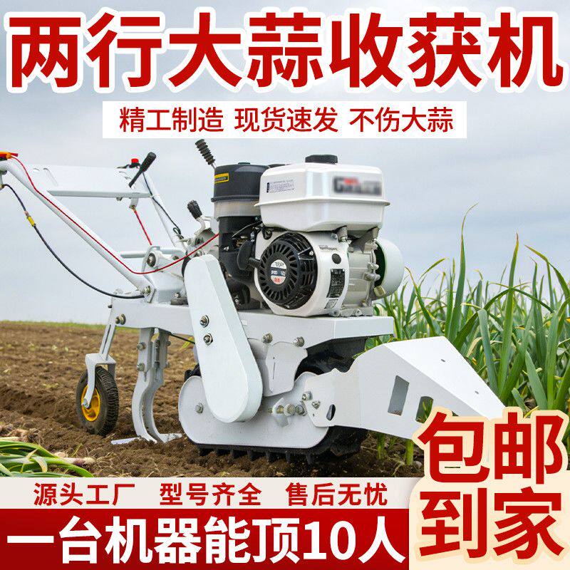 新款大蒜收获货机挖小型