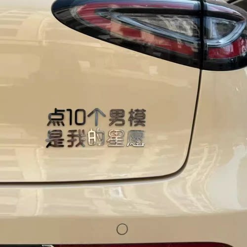适用于吉利星愿不锈钢材质平面点10个男模是我的星愿搞笑车贴车标