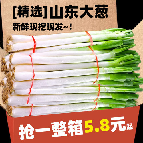 【大葱推荐榜】正宗山东大葱