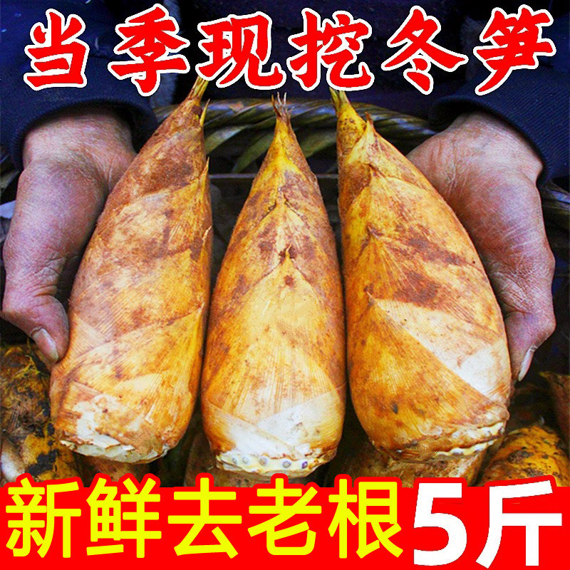 冬笋新鲜现挖毛竹笋农家野生春雷笋毛笋福建建瓯天目黄泥冬笋甜笋