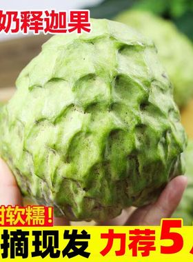 释迦果新鲜番荔枝5斤大目凤梨牛奶佛头果林檎摩尼果当季水果整箱