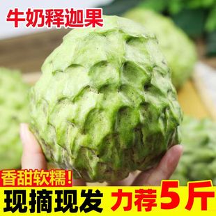 释迦果新鲜番荔枝5斤大目凤梨牛奶佛头果林檎摩尼果当季水果整箱