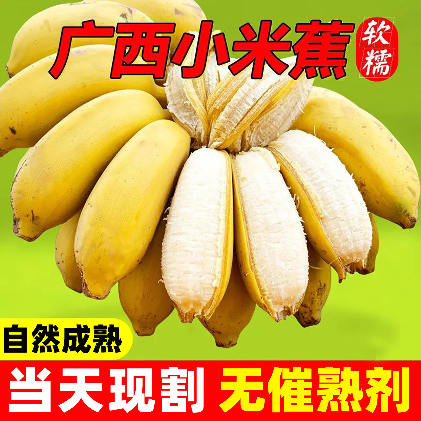 现摘广西小米蕉应当季香蕉10斤新鲜水果整箱自然熟苹果香蕉粉蕉5