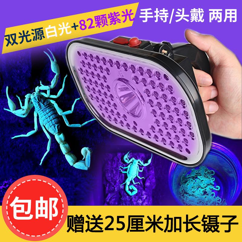 泰中星头戴蝎子灯照蝎子专用灯强光头戴式手电筒可充电两用豆虫灯