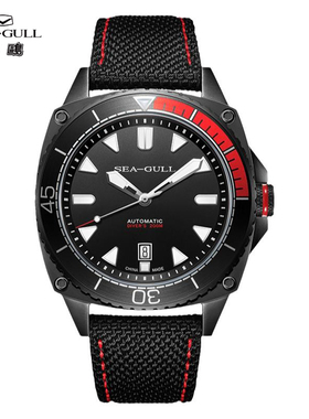 海鸥表男士机械手表海洋系列蛟龙系列200M防水国腕表831.22.6058H