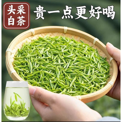 新茶2026年明前白茶正宗白茶茶叶春茶绿茶雨前高山特好茶叶250g
