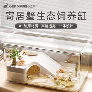 寄居蟹饲养箱套装小型桌面带爬台躲避屋相守螃蟹养殖箱乌龟饲养缸