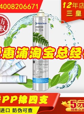 滨特尔 爱惠浦H100 H104滤芯 爱惠浦净水器滤芯H-100滤芯家用