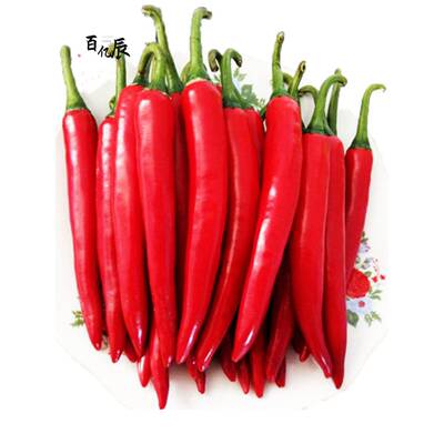 RANA HOT SAUCE Chili SPICY JALAPENO 沙特阿拉伯瑞纳辣椒酱中东