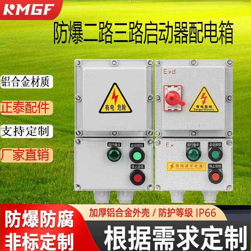 防爆配电箱磁力启动器防水1路2路通风机水泵检修控制箱220V380V开